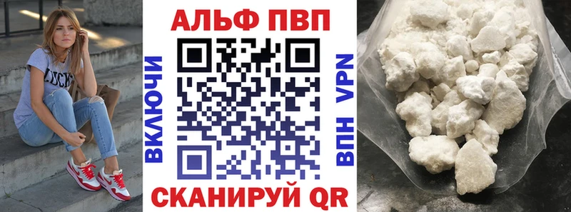 A PVP СК  Багратионовск 