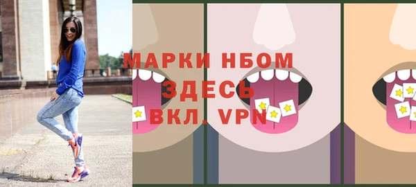 сатива Аркадак