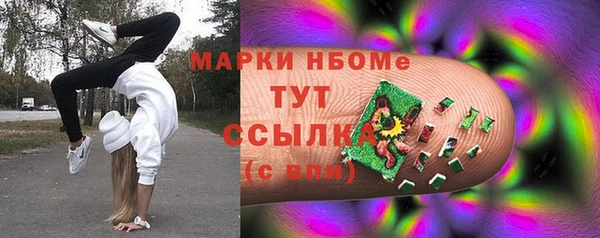сатива Аркадак