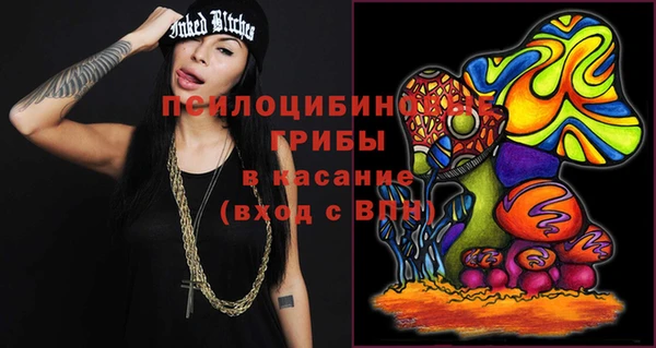 сатива Аркадак