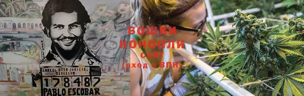 сатива Аркадак